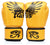 Rękawice do Muay Thai Fairtex BGV1 Falcon Golden