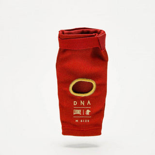 Gomitiere Leone DNA PR341