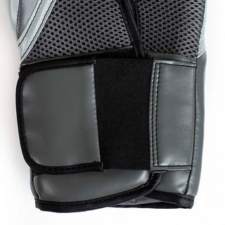 Guantoni Everlast Elite Pro Style-Combat Arena