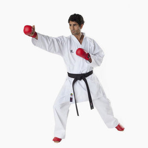 Karatega Tokaido Master WKF Kumite